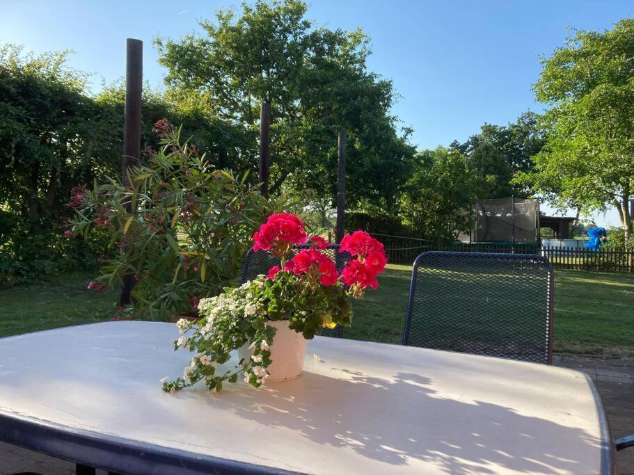 Helle Wohnung Mit Wintergarten - Nahe Ruhrgebiet Und Freizeitpark Movie Park Bottrop Kültér fotó